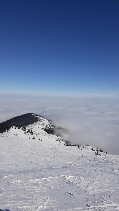 Kop Milmari P32 Appartement Kopaonik Buitenkant foto