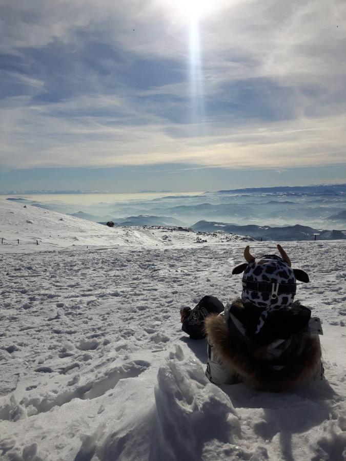 Kop Milmari P32 Appartement Kopaonik Buitenkant foto